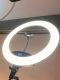 LED LIGHT 18”