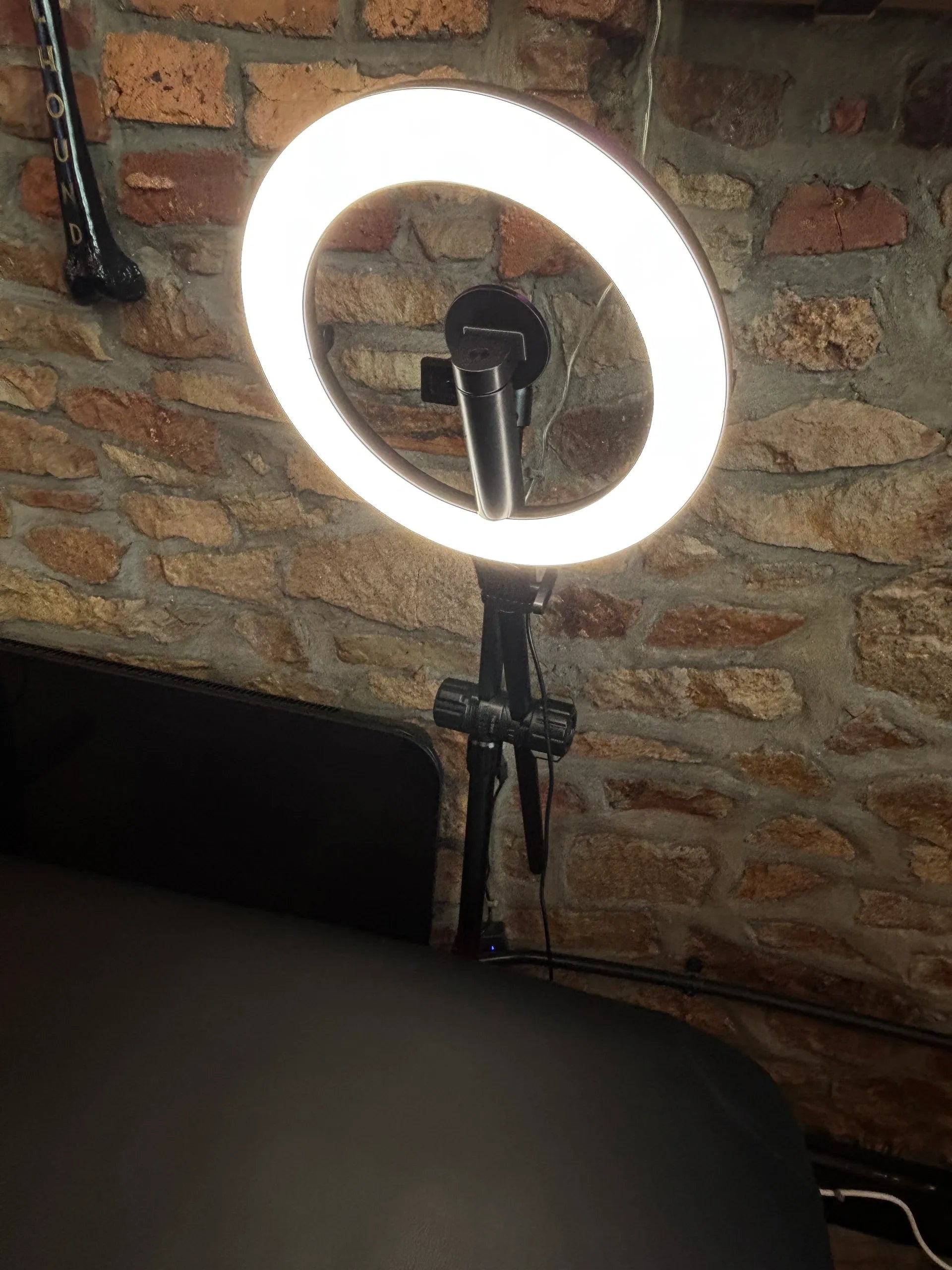 RING LIGHT 10''